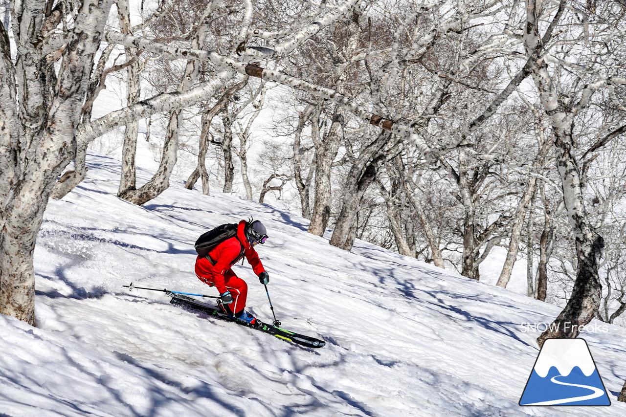 ニセコグラン・ヒラフ DYNASTAR SKI TEST RIDE DAYS Photo Session!!最高の天気に恵まれたニセコに、最高の仲間たちが集まりました☆